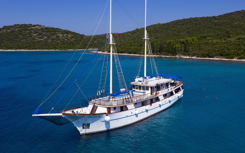 MS Mendula